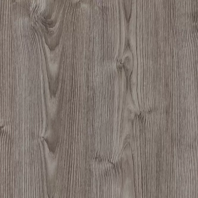 Скалистый дуб