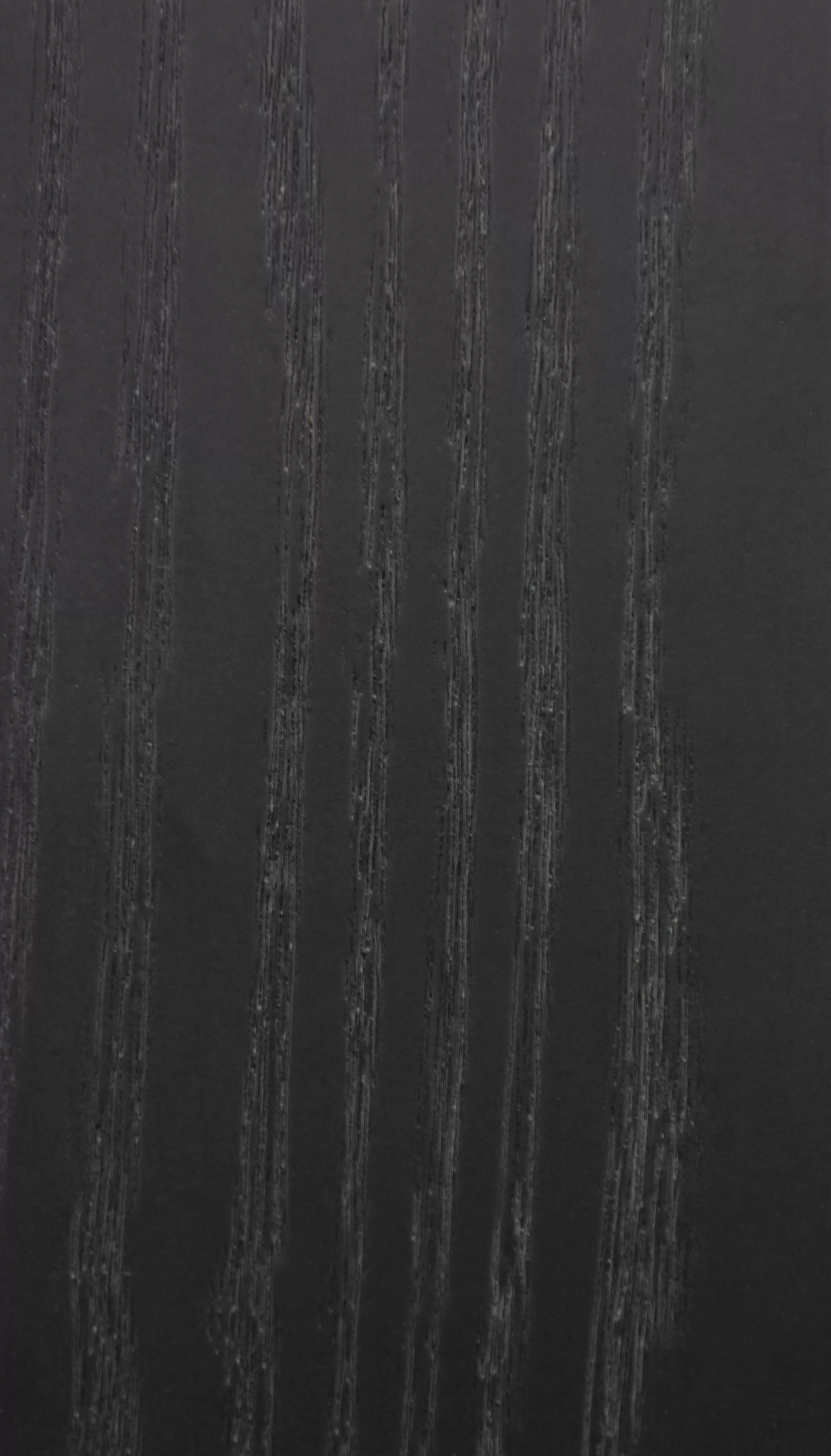 Ясень черный